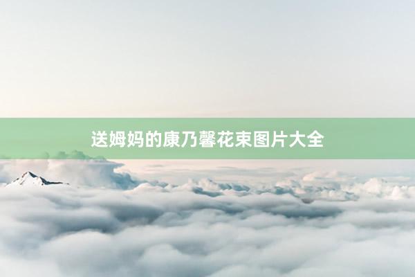 送姆妈的康乃馨花束图片大全