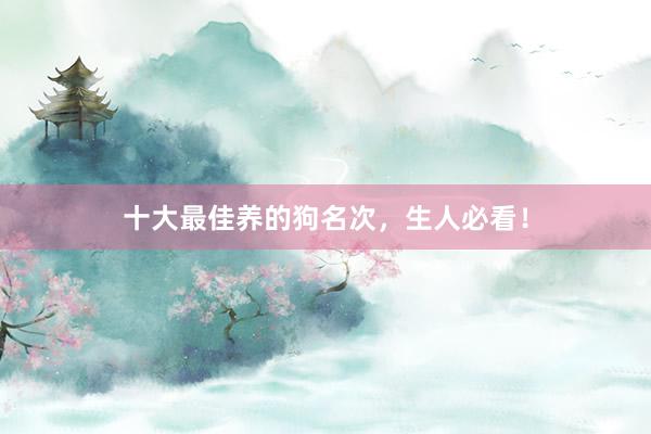 十大最佳养的狗名次，生人必看！