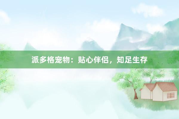 派多格宠物：贴心伴侣，知足生存