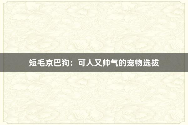 短毛京巴狗：可人又帅气的宠物选拔
